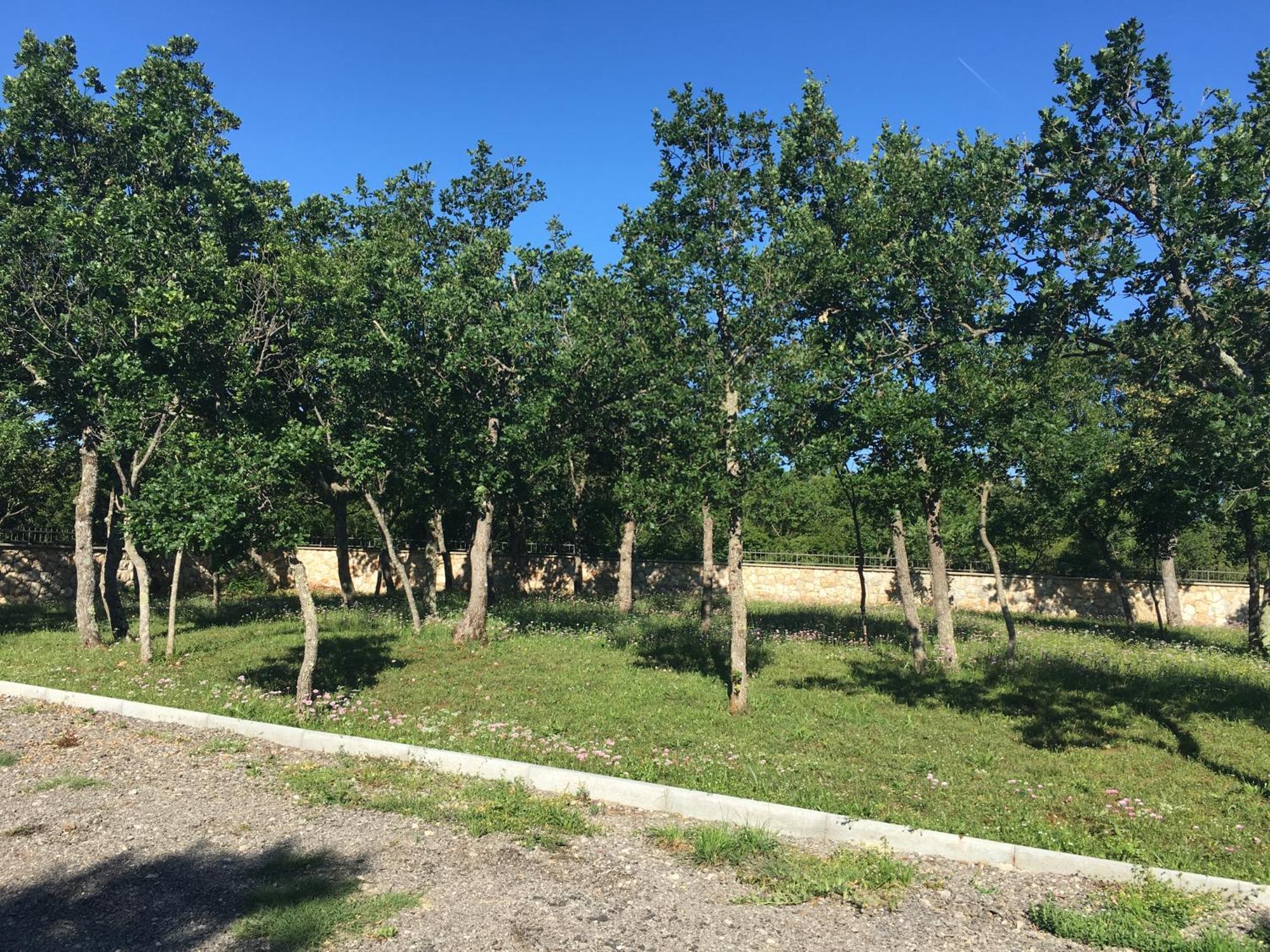Micanovi Dvori Mobile Home Village Zrmanja Obrovac Zewnętrze zdjęcie